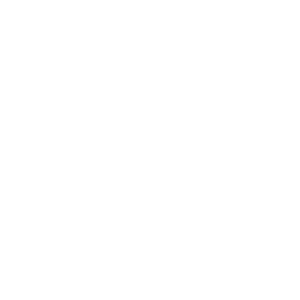 Logo de Cummins