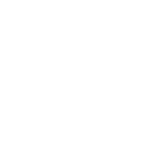 Logo de Hyundai