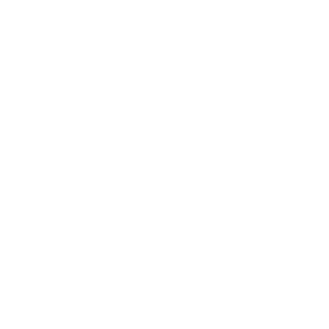 Logo de SKF