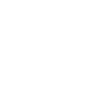 Logo de Taylor International